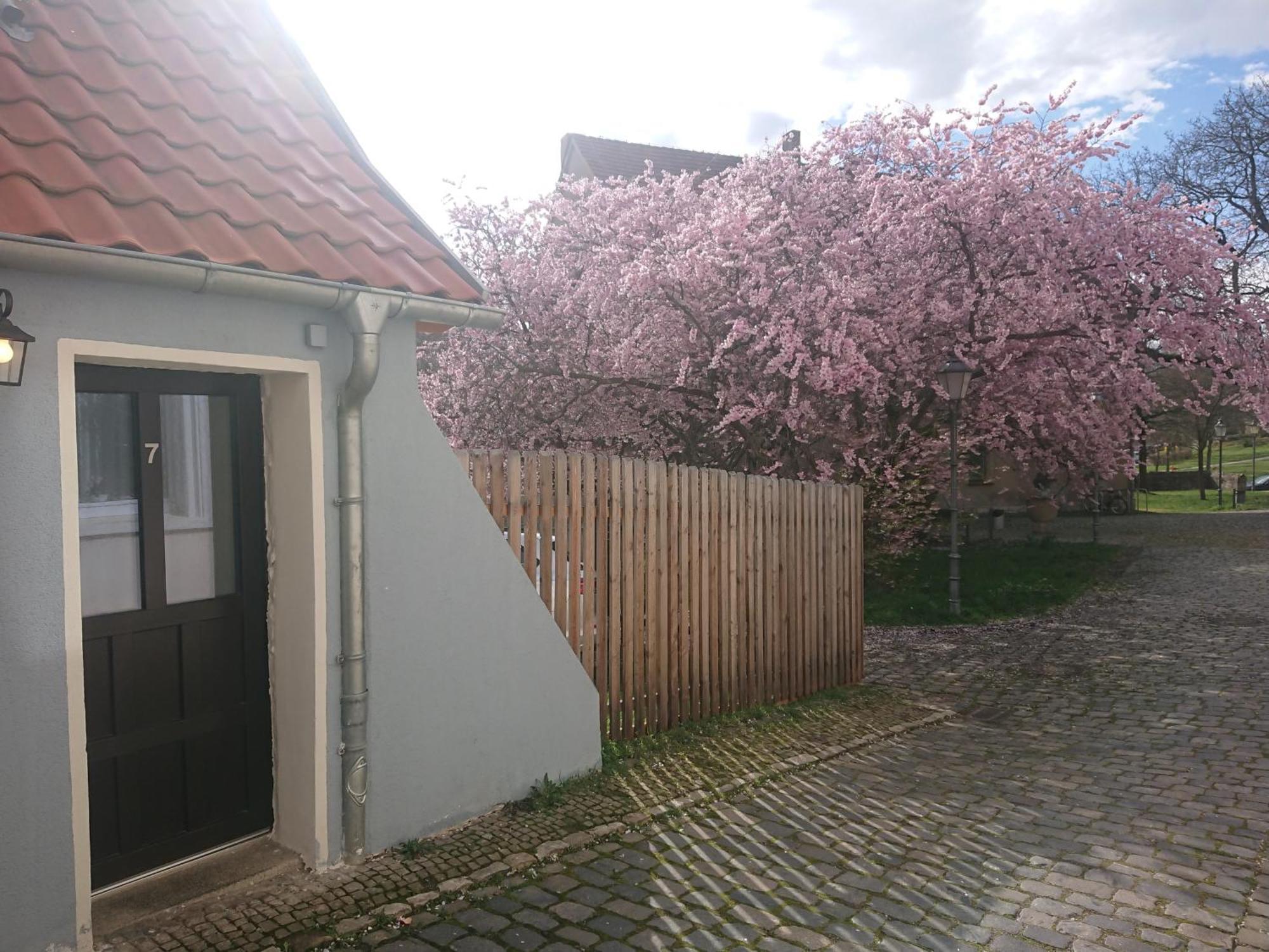 Ferienhaus Aschersleben Exterior foto